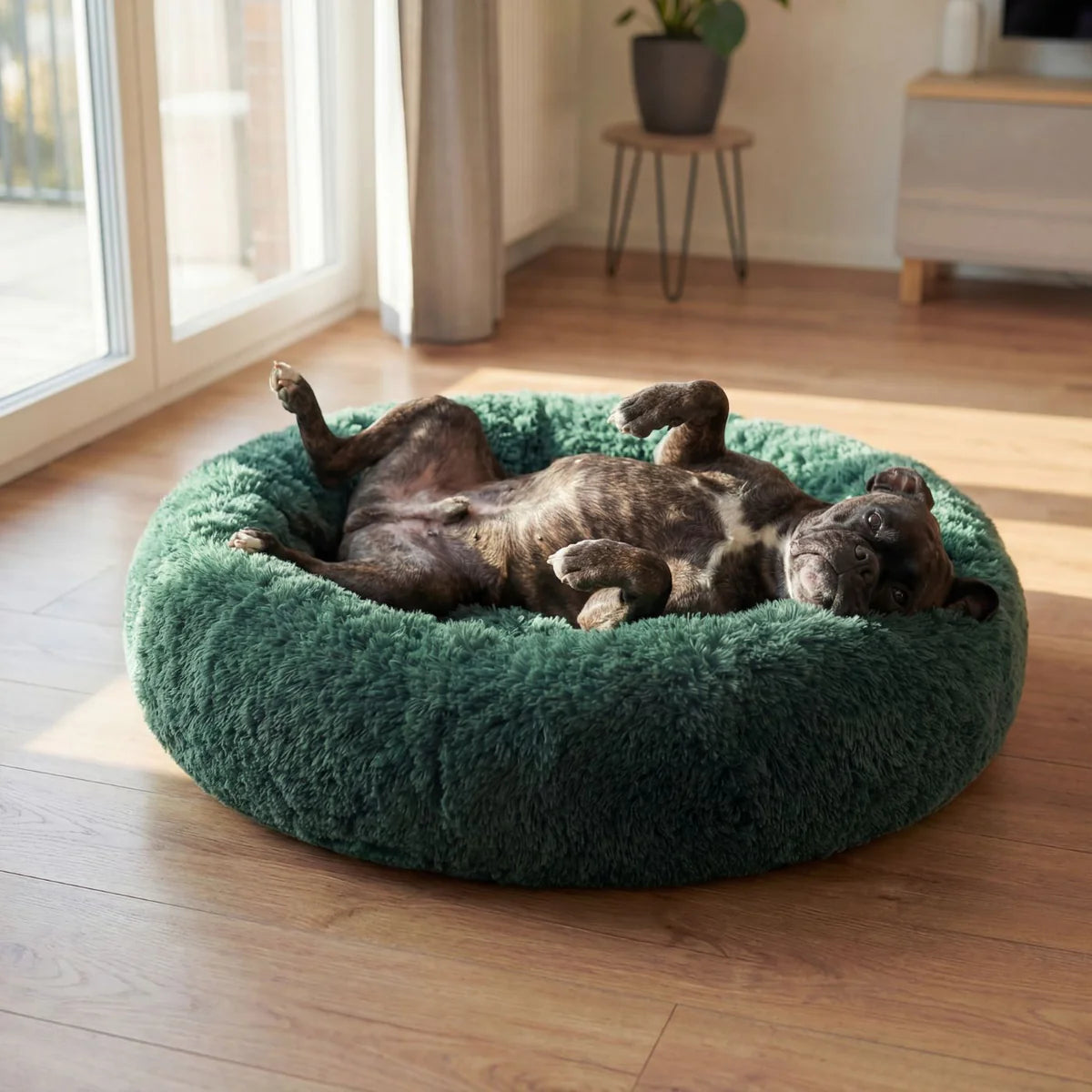Hundebett WOLKE Plüsch