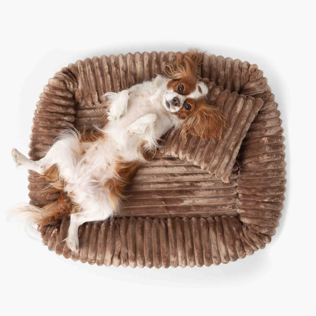 Hundebett BELLO Cord Beige