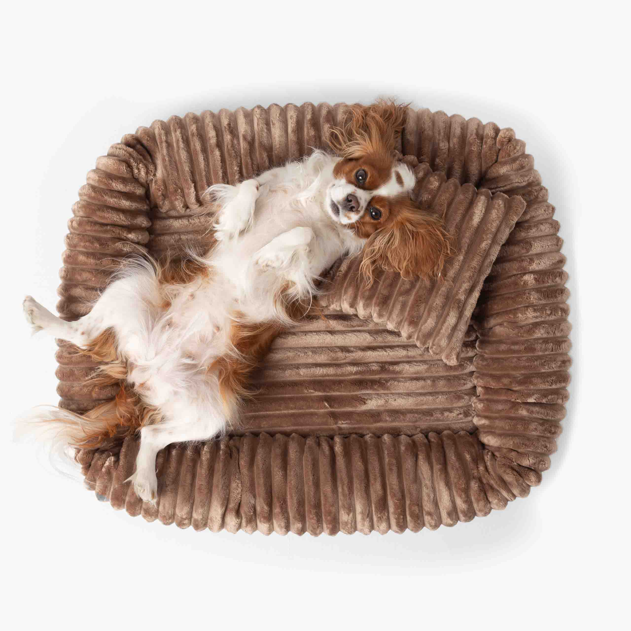 Hundebett BELLO Cord Beige