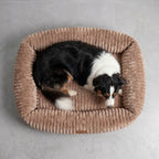 Hundebett BELLO Cord Beige