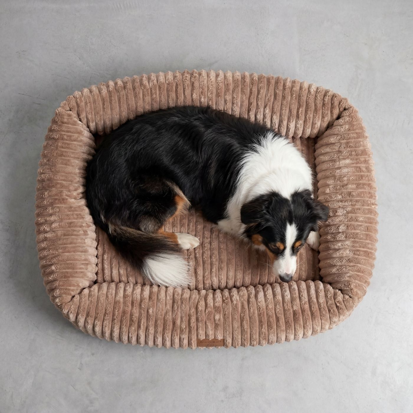 Hundebett BELLO Cord Beige