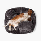 Hundebett BELLO Cord Grau