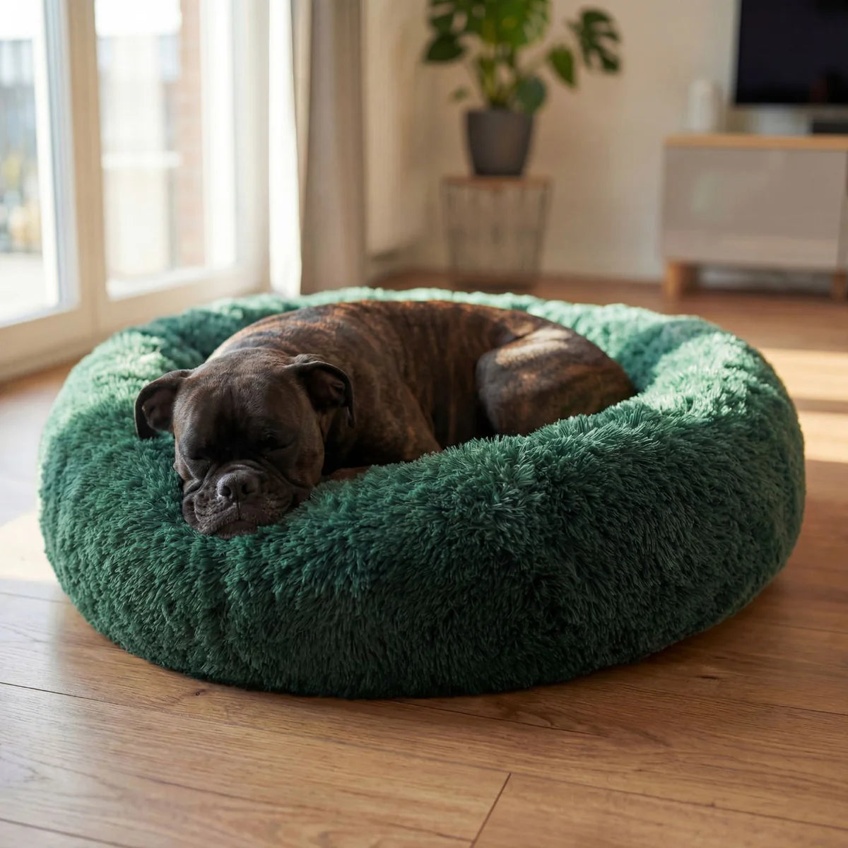 Hundebett WOLKE Plüsch