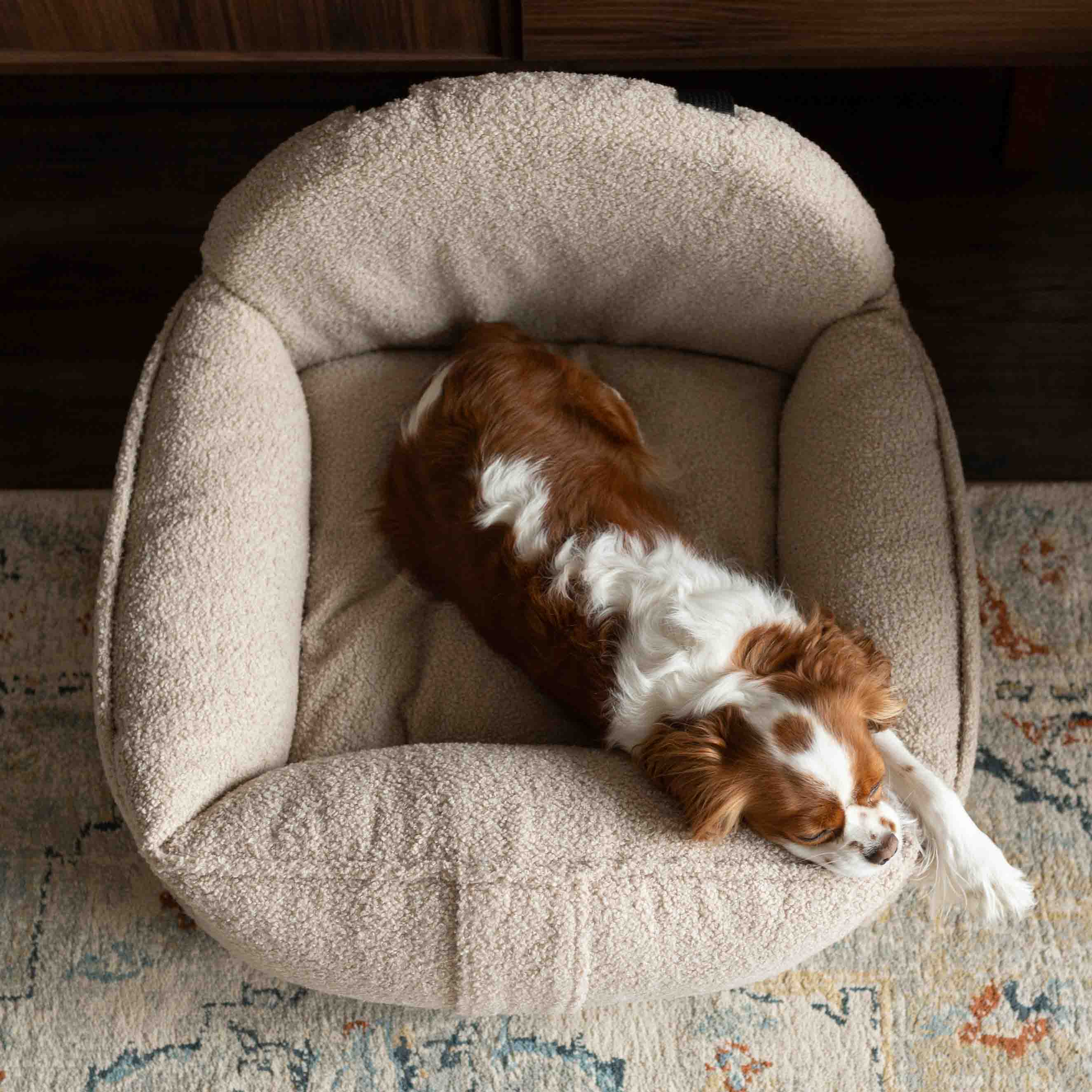 Hundeautositz 2in1 Bouclé SAND