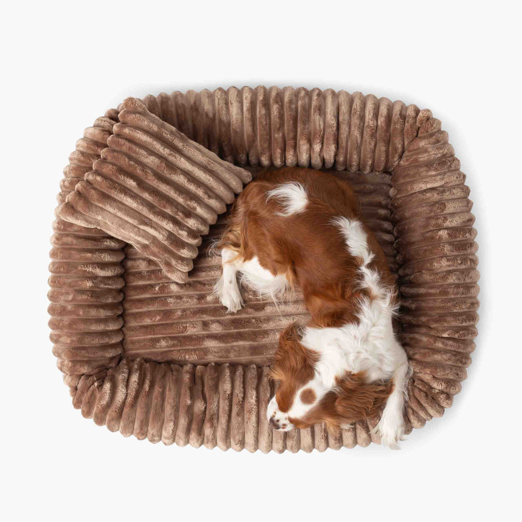 Hundebett BELLO Cord Beige