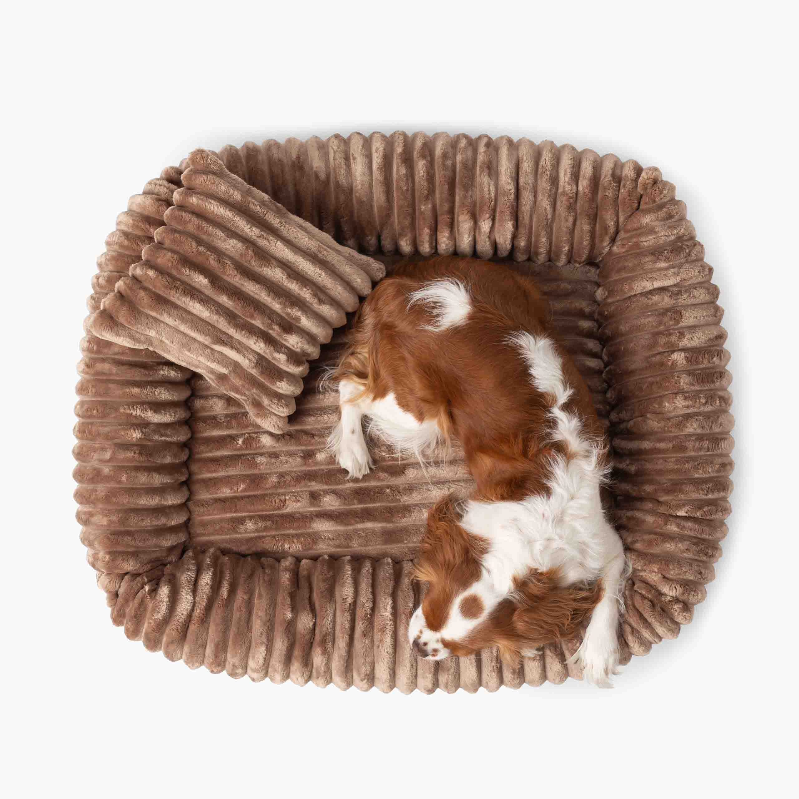 Hundebett BELLO Cord Beige