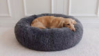 Hund schläft entspannt im dunkelgrauen flauschigen Hundebett