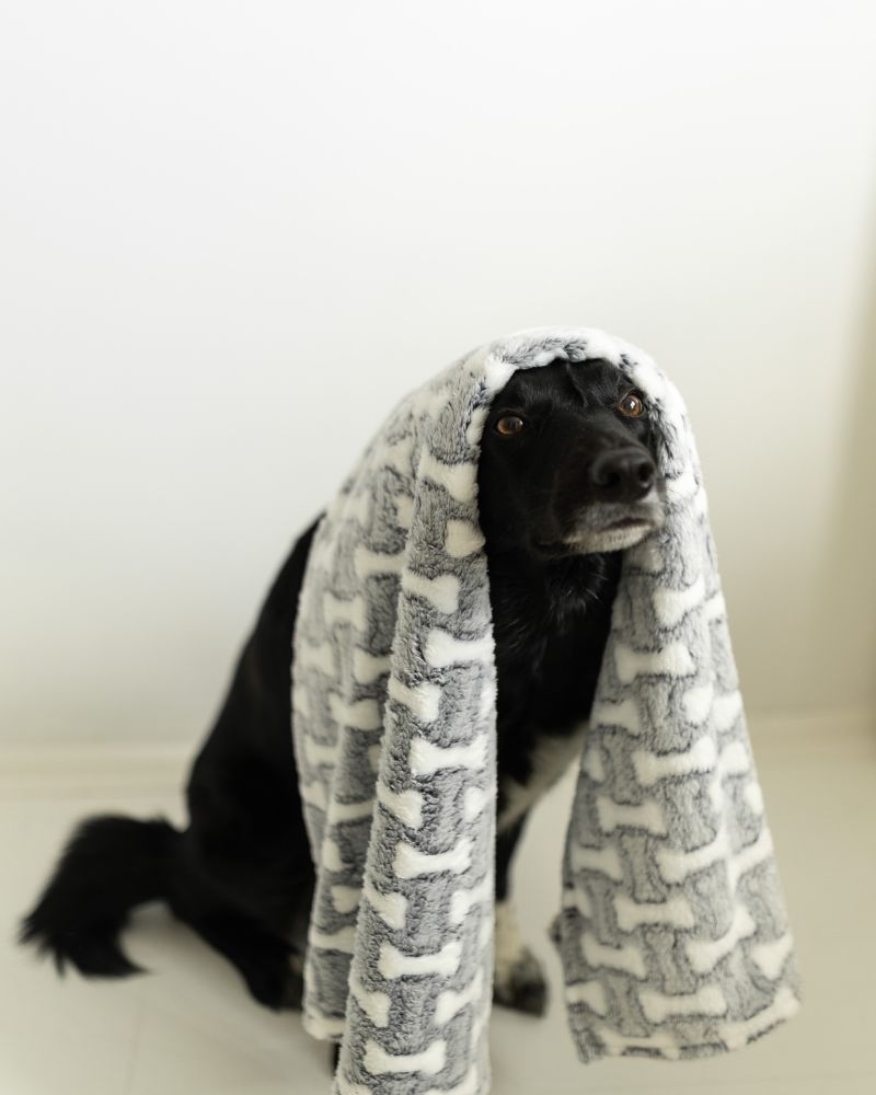Hundedecke aus Fleece SAGA