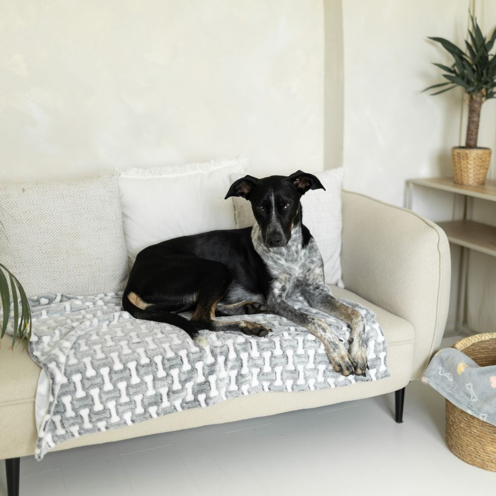 Hundedecke aus Fleece SAGA