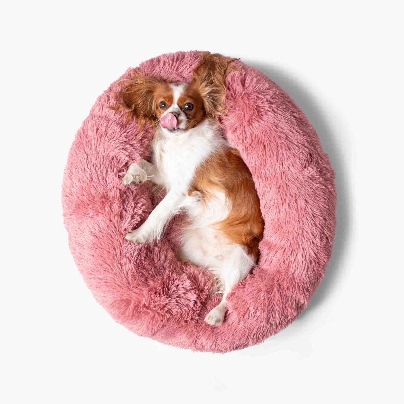 Hundebett WOLKE Plüsch