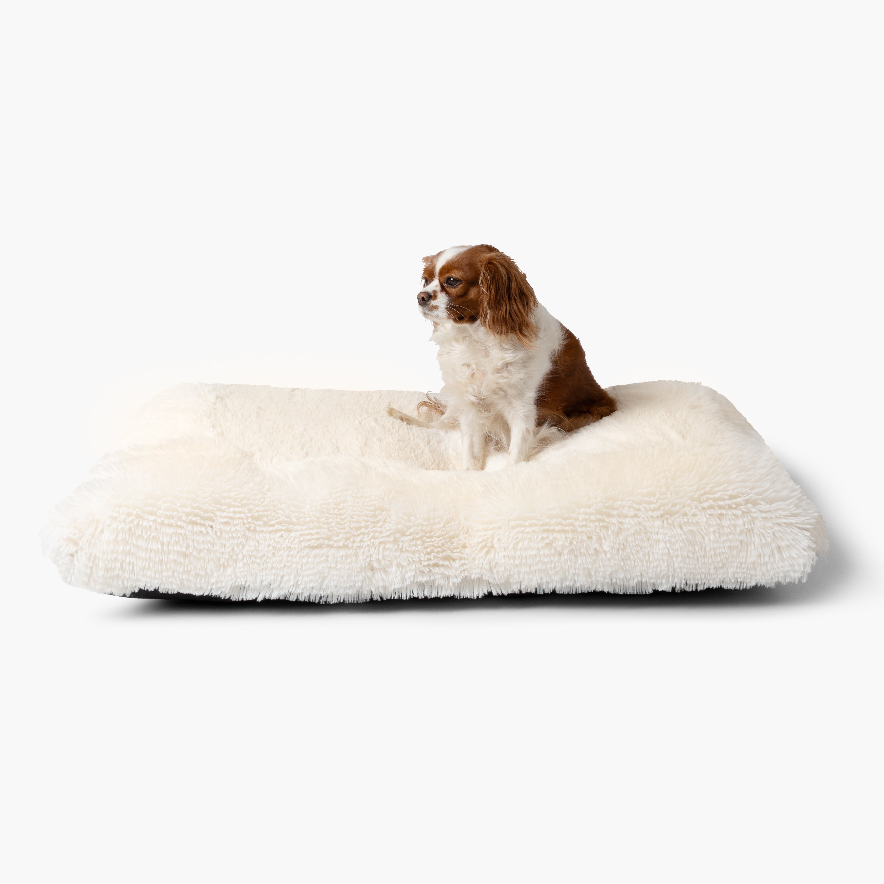 Plüsch Hundebett KISSEN